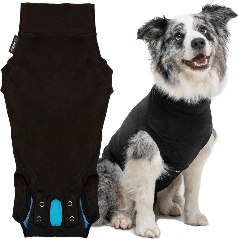 Suitical dog recovery suit